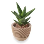 Maceta Cónica Textura Espiral para Suculentas – Diseño Dinámico Impresión 3D - Imagen 2