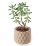 Maceta cilíndrica impresa en 3D con textura de rombos, color beige claro, para suculentas