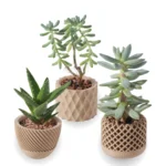 Set de 3 macetas para suculentas impresas en 3D, color madera natural, con texturas geométricas, de rejilla y espiral.
